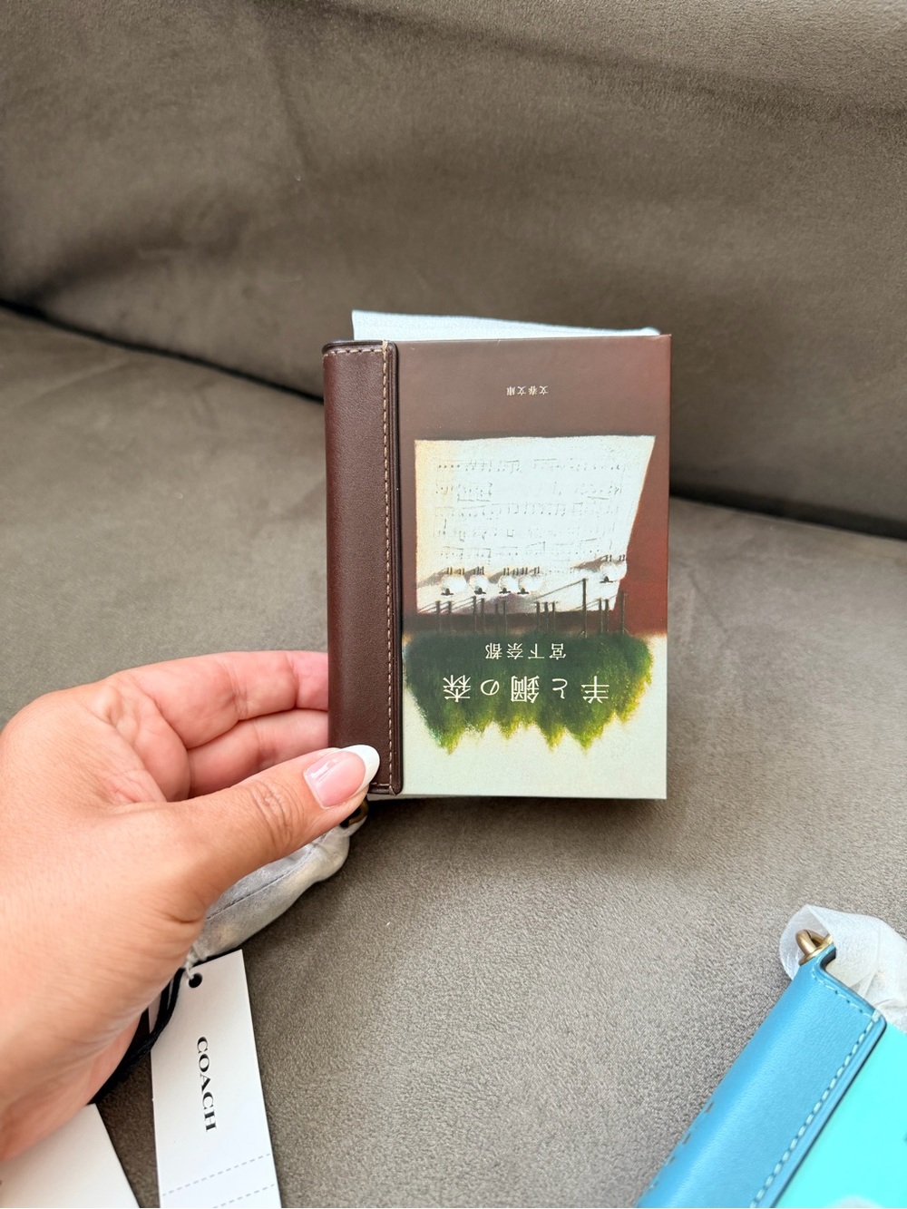 Coach The forest of Wool and Steel bag charm